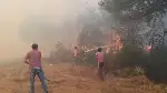 Orman Yangını