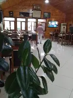 Şehr-i Ziyafet yeniden Açıldı