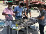 Taraklı Ülkü Ocakları Aşure Dağıttı