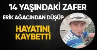 Erik Ağacından düştü kurtarılamadı