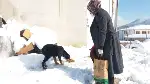 Belediye Ekipleri Sokak Hayvanlarna Yiyecek Bırakıyor
