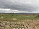Taraklı’da Hububat Ekim Alanlarında kontroller yapıldı