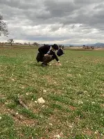 Taraklı’da Hububat Ekim Alanlarında kontroller yapıldı