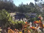 TARAKLI ORTAOKULU BANDO TAKIMI 29 EKİM CUMHURİYET BAYRAMI İÇİN HAZIRLIKLARINI SÜRDÜRÜYOR