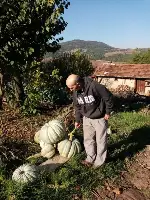 Bu da 35 kiloluk Kabak