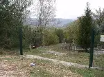 HIRSIZLAR MEZARLIĞA DADANDI...