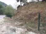 HIRSIZLAR MEZARLIĞA DADANDI...