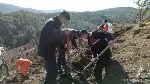 TARAKLI’DA KAYABOĞAZI’NA FİDANLAR DİKİLDİ.