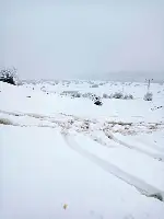 Karagöl yaylasında yoğun kar yağışı etkili oluyor