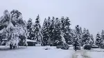 Karagöl Yaylası'nda kar kalınlığı yarım metreyi geçti