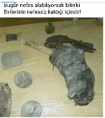 OKUMAYIN ! İSTERSENİZ...