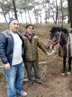 KAYBOLAN AT ORMANLIK ALANDA BULUNDU