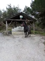 KAYBOLAN AT ORMANLIK ALANDA BULUNDU