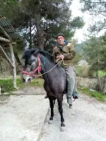 KAYBOLAN AT ORMANLIK ALANDA BULUNDU