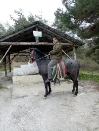 KAYBOLAN AT ORMANLIK ALANDA BULUNDU