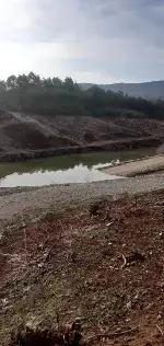 Yağışlara Rağmen....