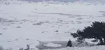 Karagöl Yaylasında Muhteşem Manzara