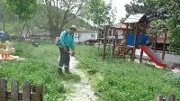 BAHAR TEMİZLİĞİ