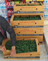 CHP Vatandaşa Fide Dağıttı