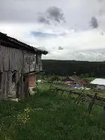 Merada Otlatma Sezonu Başladı.