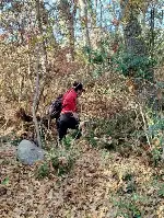 AFAD bölgeyi taradı