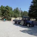 Taraklı Belediyesi Yabani otlarla mücadele devam ediyor
