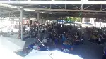 TARAKLI PAZARINDA HAREKETLİLİK ARTTI