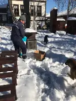Sokak Hayvanları Unutulmuyor