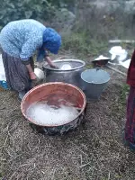 Aksu Mahallesinde Bağ Bozumu. Pekmezler Yapılıyor