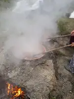 Aksu Mahallesinde Bağ Bozumu. Pekmezler Yapılıyor