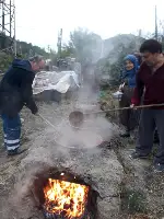 Aksu Mahallesinde Bağ Bozumu. Pekmezler Yapılıyor