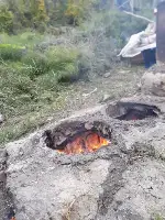 Aksu Mahallesinde Bağ Bozumu. Pekmezler Yapılıyor