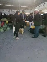 CHP SAKARYA İL BAŞKANLIĞI “SAHA ÇÖZÜM SAKARYA” EKİBİ TARAKLI’YI KARIŞ KARIŞ DOLAŞTI