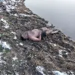 Cesedi Karagöl Yaylası Göletinde Bulundu