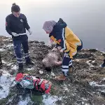 Cesedi Karagöl Yaylası Göletinde Bulundu