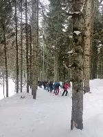 SAKARYA DAĞCILIK SPOR KULÜBÜ ÜYELERİ KAR ÜZERİNDE 20 KİLOMETRE YÜRÜDÜ