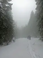 SAKARYA DAĞCILIK SPOR KULÜBÜ ÜYELERİ KAR ÜZERİNDE 20 KİLOMETRE YÜRÜDÜ