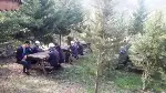 Arife günü Mezarlıklarda yoğunluk