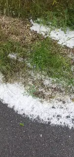 Taraklı’ye nohut büyüklüğünde dolu yağdı
