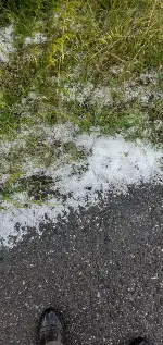 Taraklı’ye nohut büyüklüğünde dolu yağdı