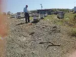 Ayı Arı Kovanlarını Parçaladı