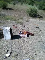 Ayı Arı Kovanlarını Parçaladı