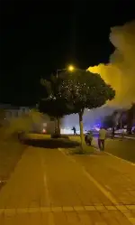 Yalova'da Toprağa Verilecek