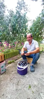Eskiden Dış ülkelerede pazarlanırdı
