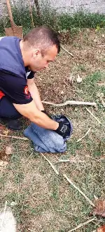Rögar kapağına sıkışan yavru köpeğin imdadına İtfaiye Ekipleri yetişti