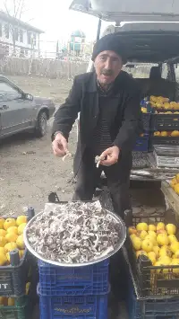 Mantar önemli bir geçim kaynağı oldu