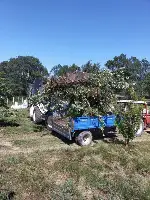 Avdan Mahalle Mezarlığında Çevre Düzenlemesi yapıldı