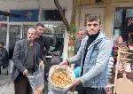 Yağışlarla birlikte Kanlıca Mantarı Bollaştı