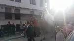 Taraklı ilçesinde deve sırtında gelin gezdirdiler