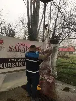 Türk Diyanet Vakfı Taraklı Şubesi Et Dağıttı.